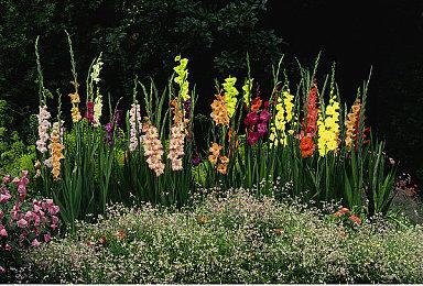 抗日奇侠游戏《廖添丁》试玩Demo上线 体验第一章